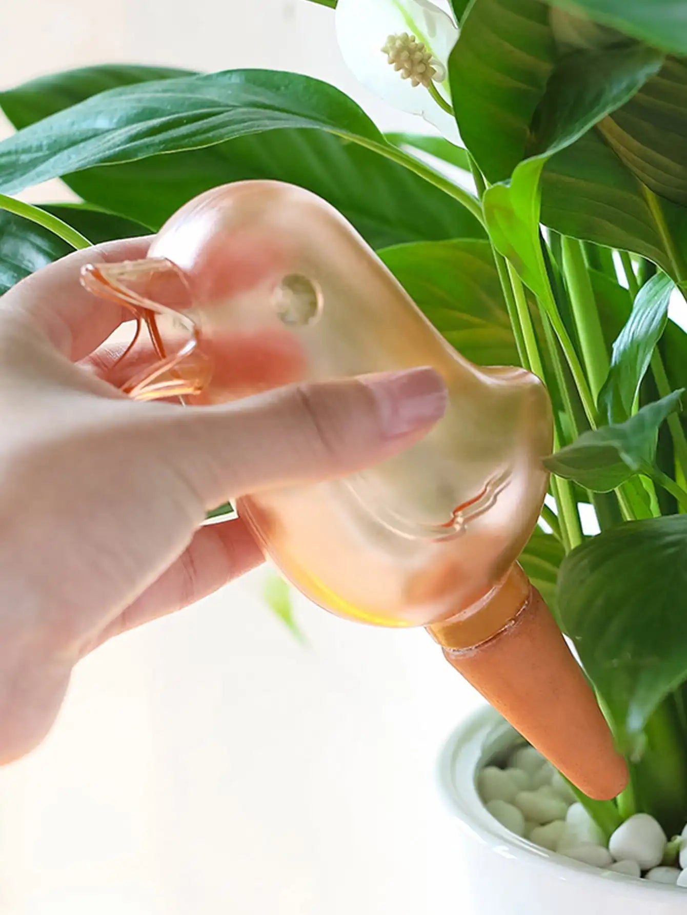 AquaAviary™ Self-Watering Garden Helper