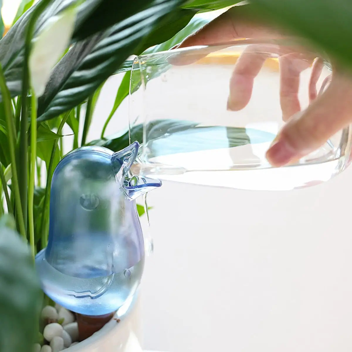 AquaAviary™ Self-Watering Garden Helper